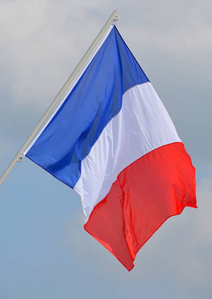 istock Flag of France 496109989