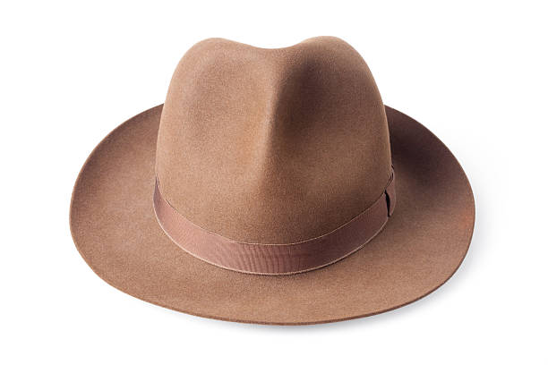 istock brown male felt hat isolated on white background 496110127