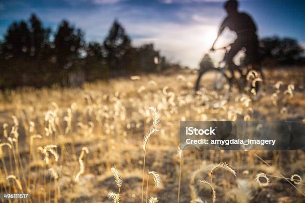 マウンテンバイク自然の風景 - 1人のストックフォトや画像を多数ご用意 - 1人, なだらかな起伏のある地形, アウトフォーカス