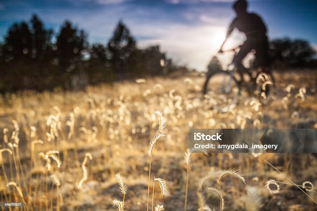 mountain biking Natureza e paisagem - Foto de stock de Adulto royalty-free