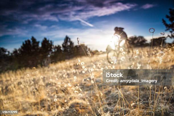 Mountain Biking Sunshine Stock Photo - Download Image Now - Active Lifestyle, Adult, Adults Only