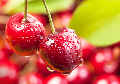 Cherry and water drops