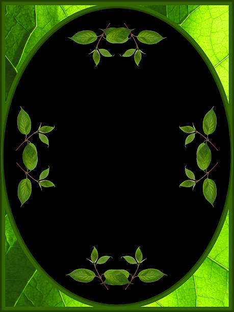 istock frame of leaves on black background 496116812