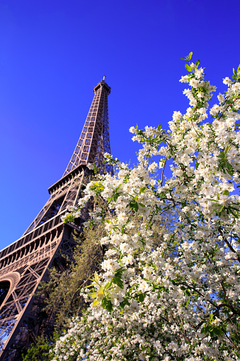 Eiffel Tower in spring time, Paris, France