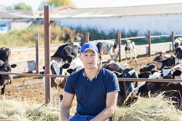 istock Farmer is working on farm with dairy cows 496121640