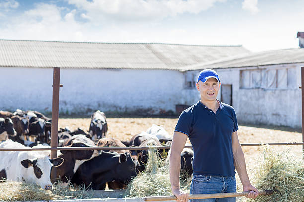 istock Farmer is working on farm with dairy cows 496121670