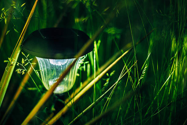 istock Small Solar Garden Light, Lantern In Flower Bed. Garden Design. 496123158