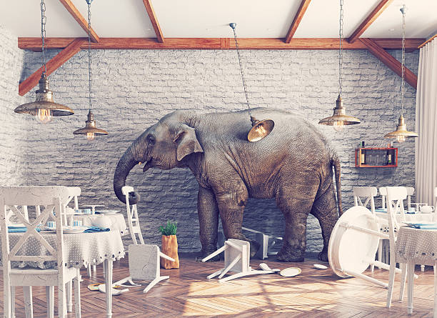 elephant calm in a restaurant interior stock photo