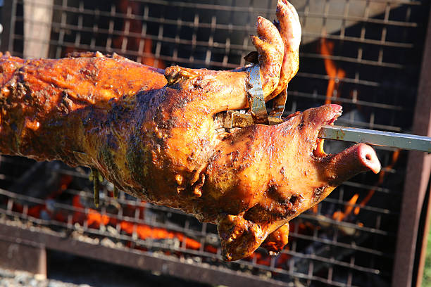 spanferkel - pig roasted spit roasted domestic pig stock-fotos und bilder