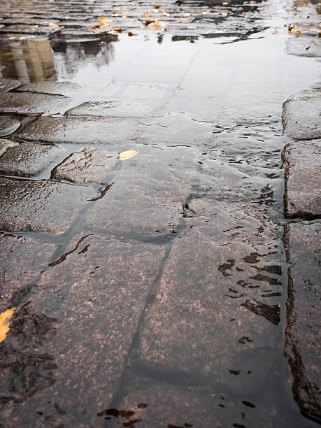 istock Autumn in the City 496123828