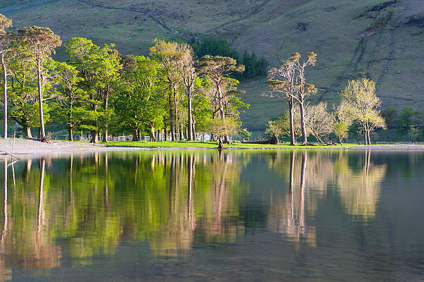 istock Reflection on the Buttermere Lake 496125058