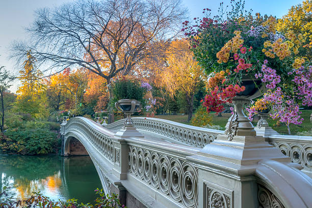 istock The bow bridge  New York City 496125150