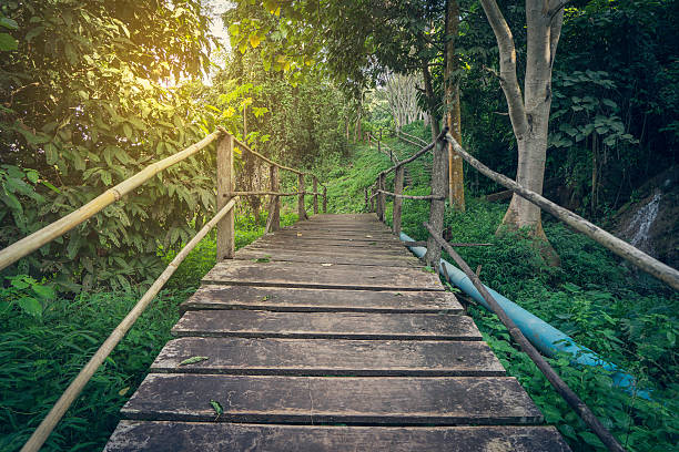 istock Wooden Bridge in Tropical forest 496128298