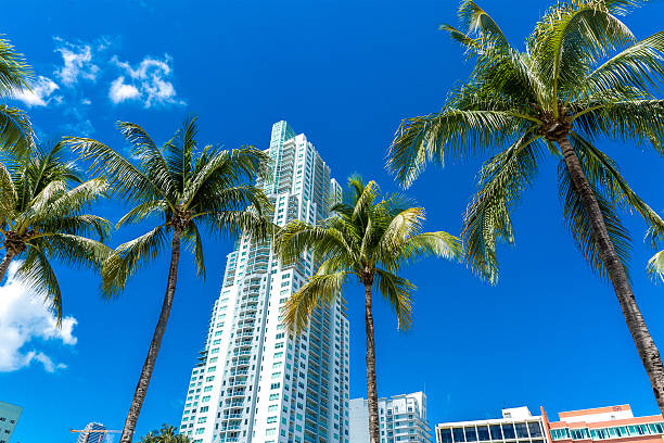 istock Luxury buildings in Miami, Florida, USA 496129530