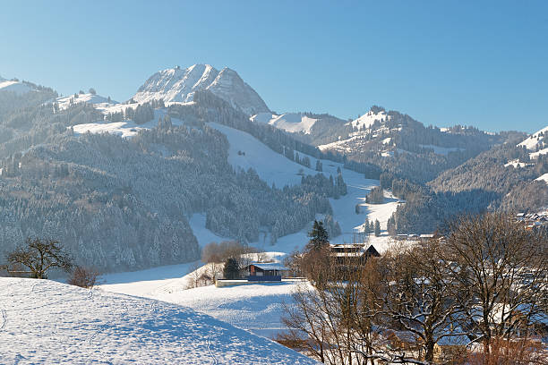 Idyllic winter mountain landscape in the Alps Idyllic winter mountain landscape in the Alps with snow-covered trees under deep blue sky. Region of Gruyere, province of Fribourg, Switzerland fribourg city switzerland stock pictures, royalty-free photos & images