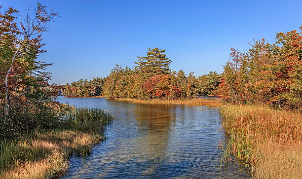 istock Hamlin Lake Ludington Michigan USA. 496130292