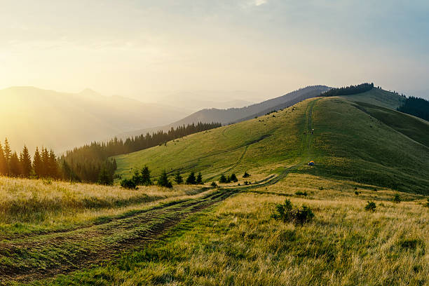 istock Foggy mountain road on sunset landscape 496131852