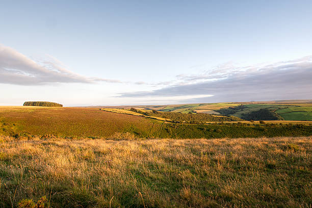 Exmoor evening, open wilderness. Autumn colours. UK,.