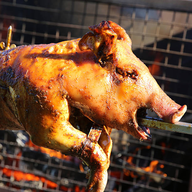 gebratene ferkel - spit roasted roasted roast pork domestic pig stock-fotos und bilder