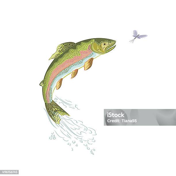 Ilustración de American Trucha Jumps y más Vectores Libres de Derechos de Trucha de manantial - Trucha de manantial, Trucha arco iris, Pesca con mosca