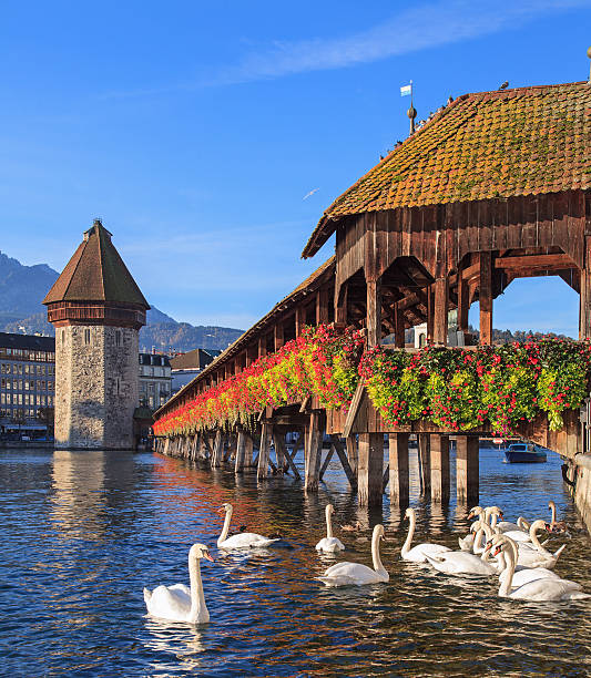 istock Lucerne, the Chapel Bridge in early morning 496156175