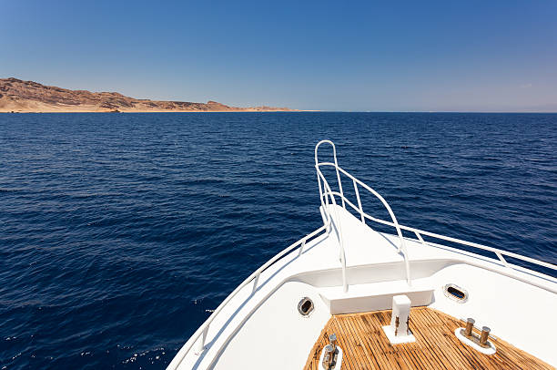 Friends having fun on yacht, couple holding hands and jumping.