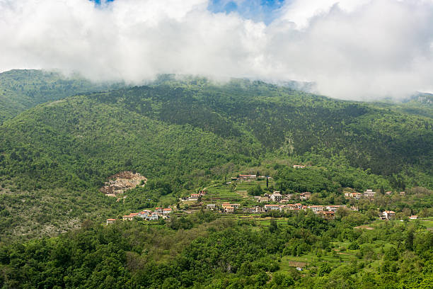 istock Town surrounded with forest on a mountain slope 496156387