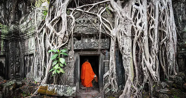 Angkor Wat monk. Ta Prom Khmer ancient Buddhist temple in jungle forest. Famous landmark, place of worship and popular tourist travel destination in Asia