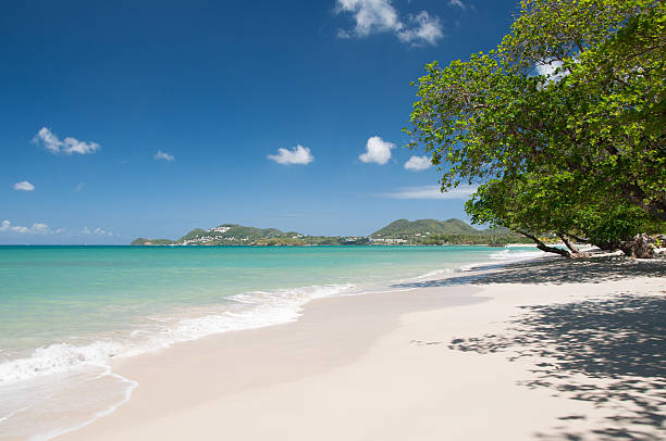 istock Empty paradise beach in Vigie, St. Lucia 496156479