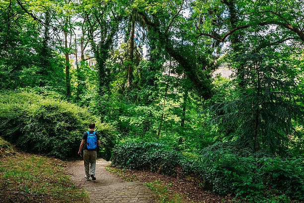 Man Backpacker Walking Along Stone Pathway Walkway Lane Path With Green Trees And Bushes In Park. Beautiful Alley In Summer Luxembourg Park