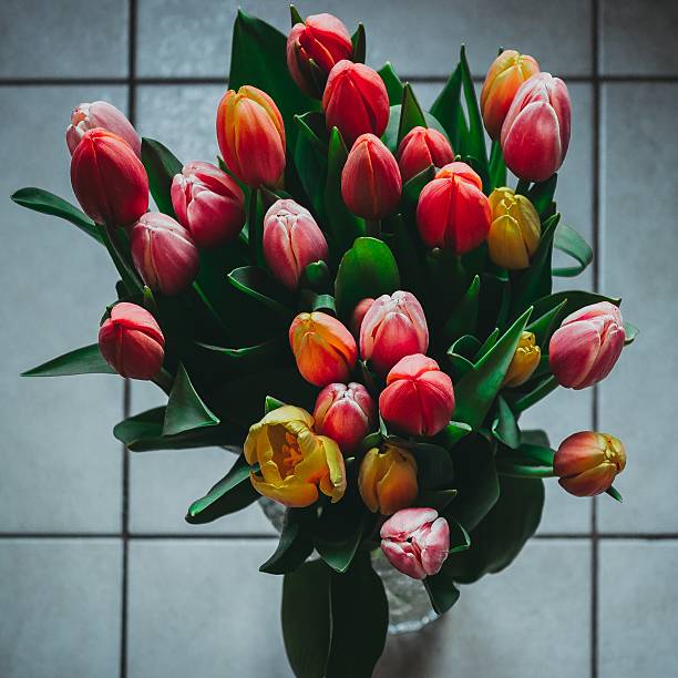 istock Bouquet of colored tulips 496157186