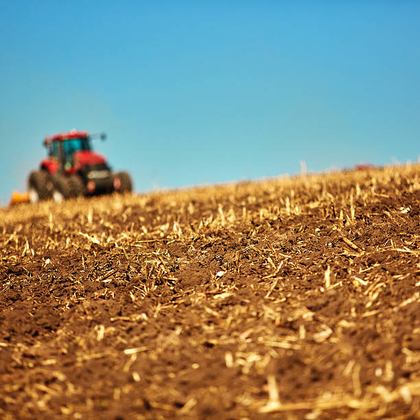 istock Agricultural Landscape. Tractor working on the field 496157908