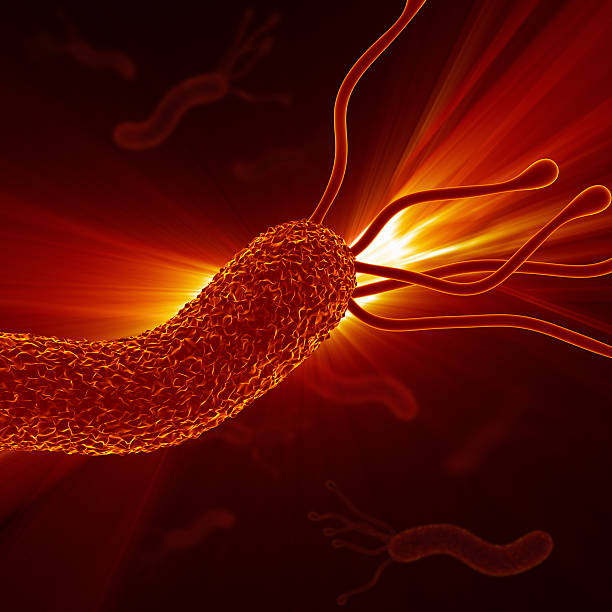 istock Helicobacter Pylori - Closeup / Detailed Zoom 496159013