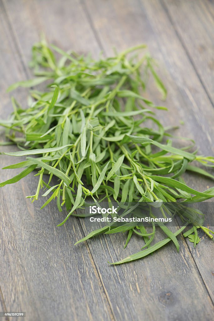 tarragon wild tarragon Tarragon Stock Photo