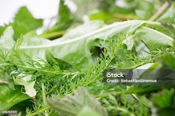 Wilden Kräutern Stockfoto und mehr Bilder von Backen - Backen, Dekoration, Estragon