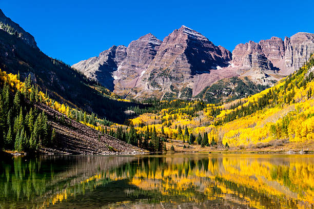 istock Fall Colors in Colorado Mountains 496159356