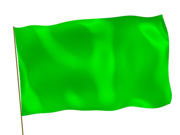 istock Green 3d flag on white background 496160060