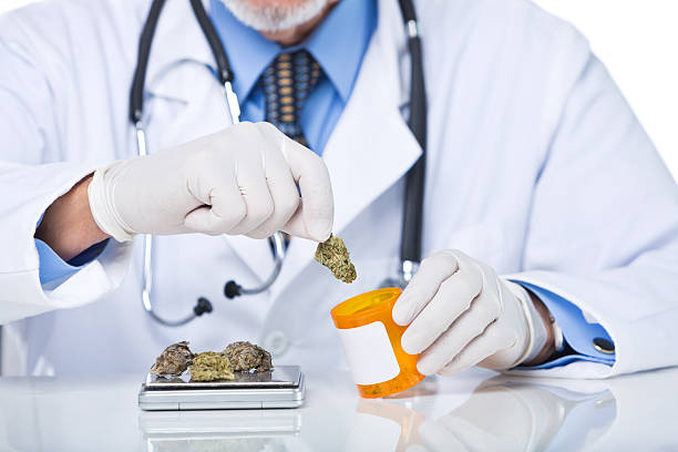Unrecognizable senior doctor dispensing cannabis from scale to bottle Part of a senior doctor holding pill bottle with scale and marijuana, isolated on white background medical cannabis stock pictures, royalty-free photos & images