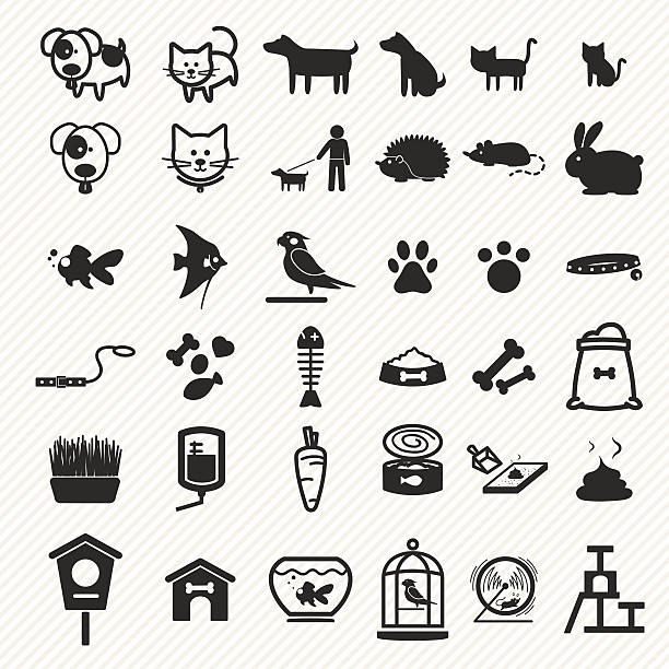 illustrazioni stock, clip art, cartoni animati e icone di tendenza di set di icone di animali domestici. - dog animal bone dog bone dog food