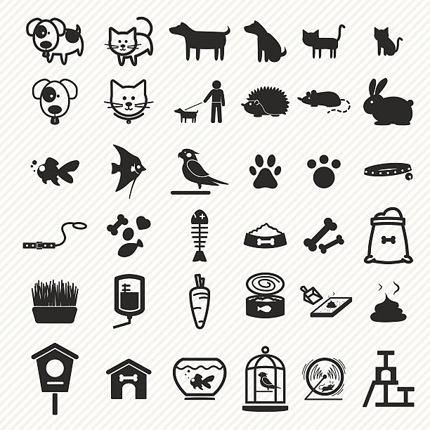 Pet icons set. Pet icons set. illustration eps10 animals feeding stock illustrations
