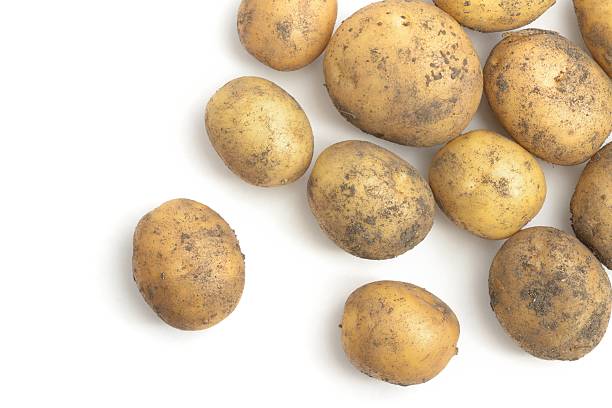 새로운 감자 산발형 - new potato raw potato freshness organic 뉴스 사진 이미지
