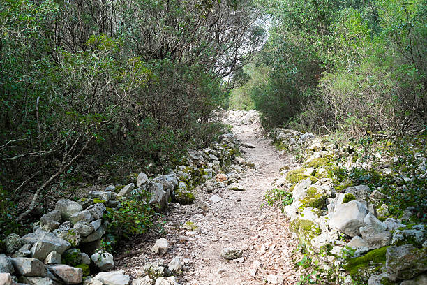 istock Trekking trail in Sardinia 496163111