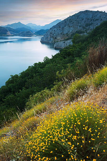 istock mountains reservoir  in  twilight 496168572