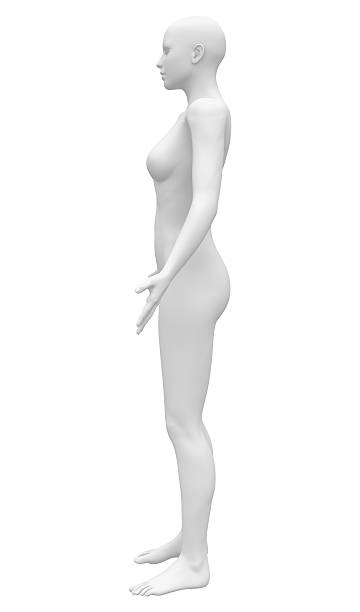 istock Blank Anatomy Female Figure - Side view 496193197