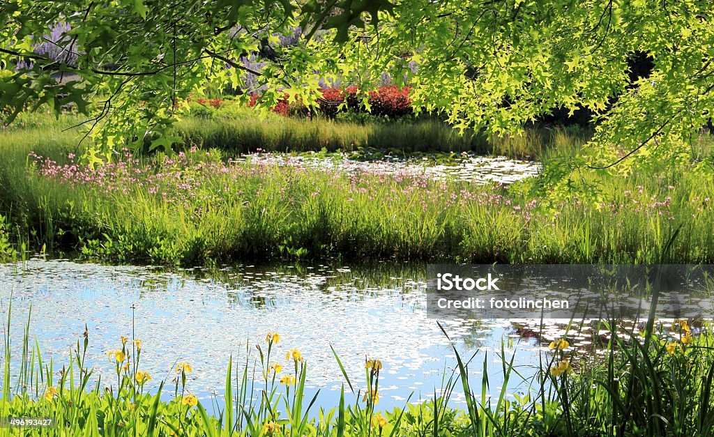 Estanques al jardín - Foto de stock de Accesorio de jardín libre de derechos
