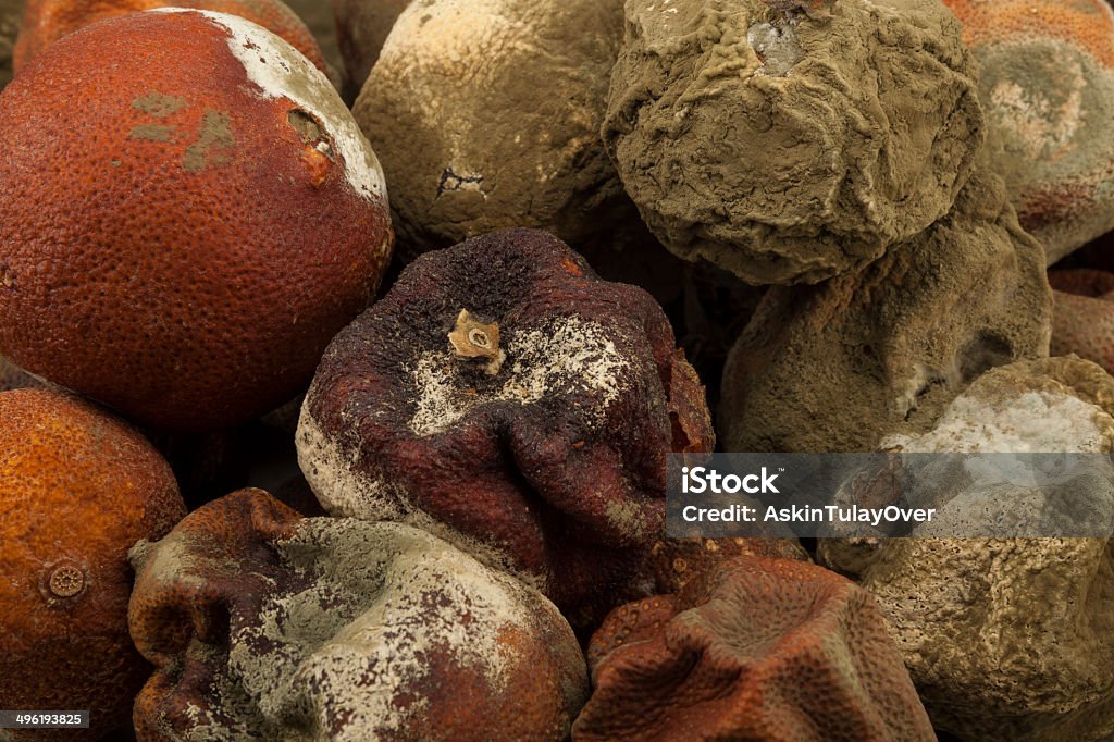 Rotten Obst - Lizenzfrei Alt Stock-Foto