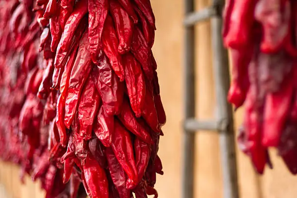Red chili pepper ristras hang against a dun-colored adobe wall in New Mexico. A traditional Native American kiva ladder is also seen in the background. A ristra hung on one's house (usually at the door) is not only decorative in New Mexico, but it also protect the house from evil spirits, according to traditional beliefs.