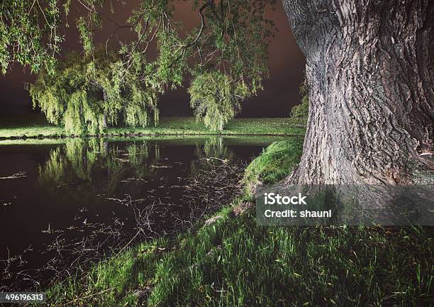 Willow Krajobraz - zdjęcia stockowe i więcej obrazów Bez ludzi - Bez ludzi, Drzewo, Długie naświetlanie