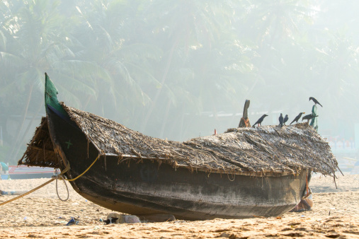 Fishing Boat on the beach against jungle background (Kerala, south India)