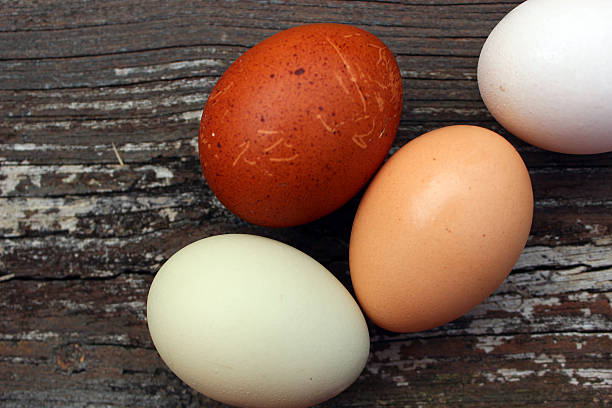 istock Homegrown Eggs of Various Shades 496198908